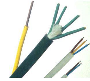 氟塑料電纜